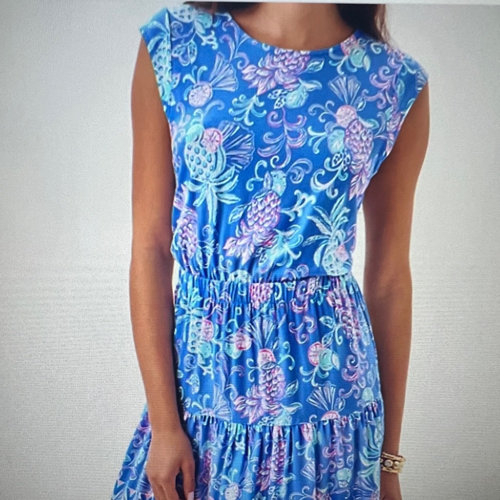 NWT Lilly Pulitzer Danville Dress Sunwashed Blue Citrus Crush S
